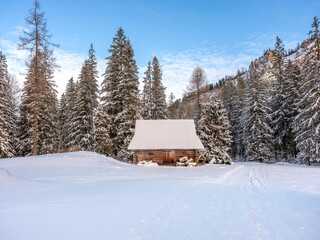 Zakopane: Zabytkowe chałupy, szałasy w Kuźnicach w zimowej aurze © Michal45