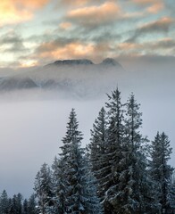 Poranny, zimowy widok z Gubałówki w stronę Tatr w bardzo mroźny poranek z mgłą © Michal45
