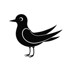 a fairy tern bird  vector illustration