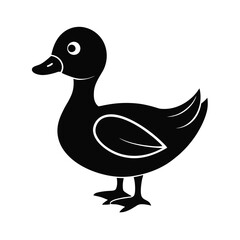 A mallard duck bird vector silhouette