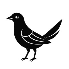 a black Drogo bird  vector illustration