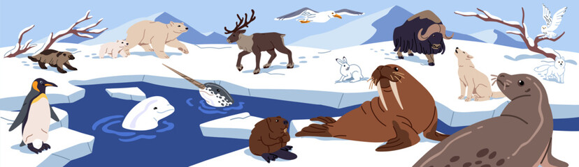 Ice landscape with arctic animals. Northern pole panorama with north bear, reindeer, penguin, polar fox, wolf, walrus, narwhal and beluga whale. Antarctica wildlife, nature. Flat vector illustration © Paper Trident