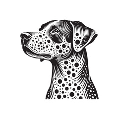 Obraz premium Catahoula Leopard Dog Vector - Catahoula Leopard Dog Silhouette -Illustration of Catahoula Leopard Dog