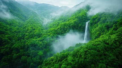 Fototapeta premium jungle rainforest Misty scene Waterfall cascading through a misty rainforest, creating a dramatic and scenic view