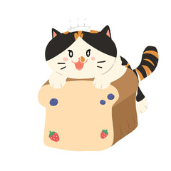 Bread cat