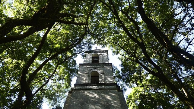 Stone Church Tower Amidst Lush Green Canopy