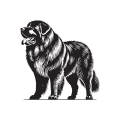 Caucasian Shepherd Dog Vector - Minimalist Caucasian Shepherd Dog Design - Caucasian Shepherd Dog Silhouette. © WASEE