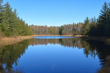 Obraz premium A serene lake surrounded by lush trees, reflecting the clear blue sky, creating a peaceful natural landscape.