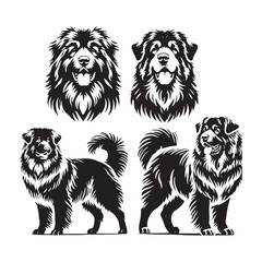 Caucasian Shepherd Dog Vector - Minimalist Caucasian Shepherd Dog Design - Caucasian Shepherd Dog Silhouette.