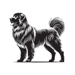 Caucasian Shepherd Dog Vector - Minimalist Caucasian Shepherd Dog Design - Caucasian Shepherd Dog Silhouette.