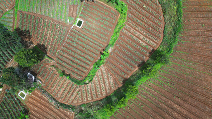Aerial view of fertile terraced farmland in the mountains with neat traditional planting patterns,...