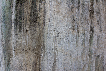 Obraz premium Rough Textured Artificial Tree Relief Made of Cement and Sand