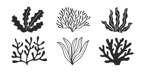 Hand-Drawn Edible Algae Illustration – Collection of Aquatic Plants