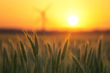 Golden Sunrise Over a Wheat Field