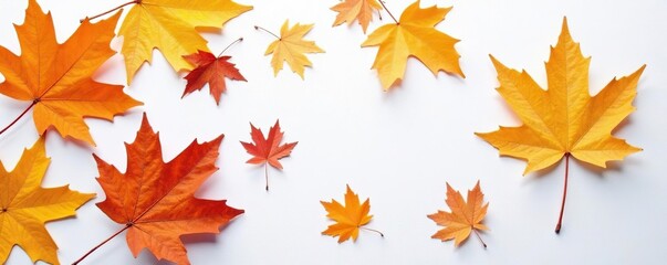 Obraz premium Dried autumnal leaves scattered on a white surface, dried, earthy, rustic