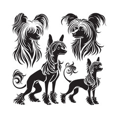 Chinese Crested Dog Vector Silhouette - Minimalist Chinese Crested Dog Design - Illustration of Chinese Crested Dog.