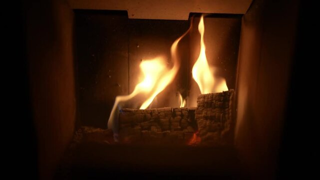 Flames within a wood-burning stove. The intricate patterns of the flames create a hypnotic effect, drawing the viewer in and inviting contemplation.