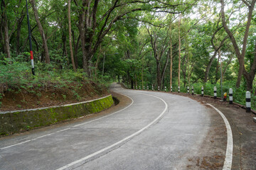 Fototapeta premium curvy road concrete road in the forest