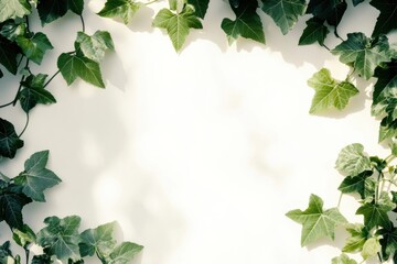 Fototapeta premium Lush green ivy leaves frame a blank canvas for creative expression in a tranquil setting. Generative AI
