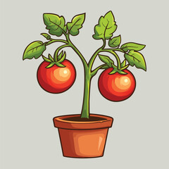Tomato tree in a pot vector illustration