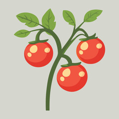 Tomato tree in a pot vector illustration