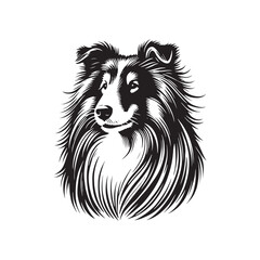  Collie Dog Vector Silhouette - Collie Minimal Design - Illustration of Collie Dog.