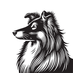  Collie Dog Vector Silhouette - Collie Minimal Design - Illustration of Collie Dog.