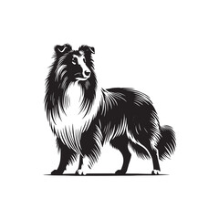  Collie Dog Vector Silhouette - Collie Minimal Design - Illustration of Collie Dog.
