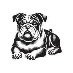 Minimal Continental Bulldog Silhouette - Continental Bulldog Vector - Illustration of Continental Bulldog.