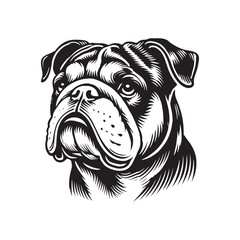 Minimal Continental Bulldog Silhouette - Continental Bulldog Vector - Illustration of Continental Bulldog.