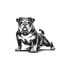 Minimal Continental Bulldog Silhouette - Continental Bulldog Vector - Illustration of Continental Bulldog.