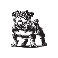 Minimal Continental Bulldog Silhouette - Continental Bulldog Vector - Illustration of Continental Bulldog.