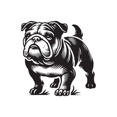 Minimal Continental Bulldog Silhouette - Continental Bulldog Vector - Illustration of Continental Bulldog.