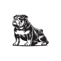 Minimal Continental Bulldog Silhouette - Continental Bulldog Vector - Illustration of Continental Bulldog.