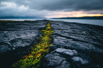 Crack in rocky surface with vibrant moss at sunset