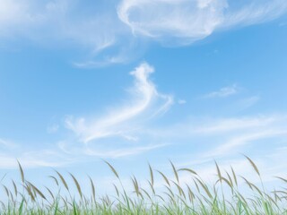 Fototapeta premium Softly filtered blue sky with wispy white clouds floating above a sea of swaying tall grass, vast-field, airy-scenes