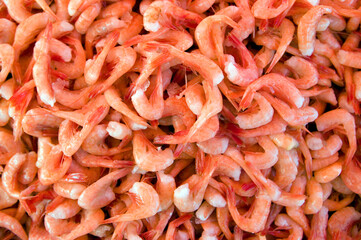Fresh Northern Pink Shrimp Seafood Fish Market