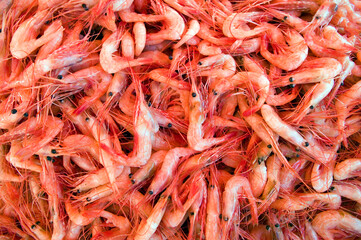 Fresh Northern Pink Shrimp Seafood Fish Market