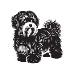 Coton de Tulear Dog Silhouette - Coton de Tulear Vector - Illustration of Coton de Tulear Dog.