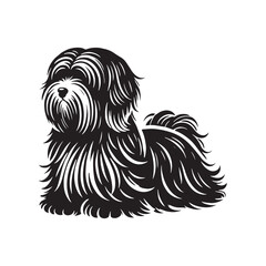Coton de Tulear Dog Silhouette - Coton de Tulear Vector - Illustration of Coton de Tulear Dog.