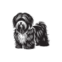 Coton de Tulear Dog Silhouette - Coton de Tulear Vector - Illustration of Coton de Tulear Dog.
