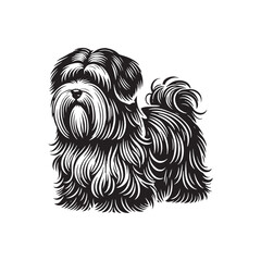 Coton de Tulear Dog Silhouette - Coton de Tulear Vector - Illustration of Coton de Tulear Dog.