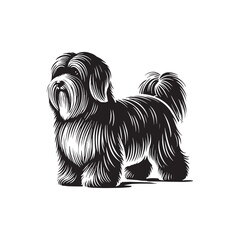 Coton de Tulear Dog Silhouette - Coton de Tulear Vector - Illustration of Coton de Tulear Dog.