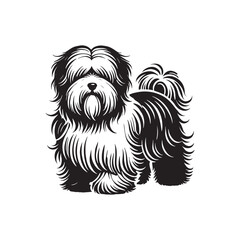 Coton de Tulear Dog Silhouette - Coton de Tulear Vector - Illustration of Coton de Tulear Dog.