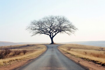 Solitary Leafless Tree on a Winding Road Surrounded by Open Landscape under a Clear Sky in a Tranquil Natural Setting