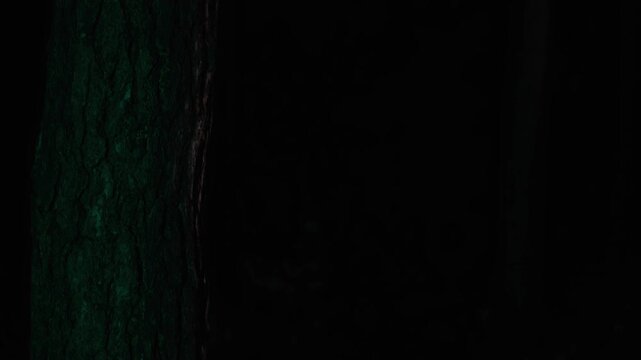 A distressed man running through a dark forest at night, escaping from an unseen threat, using his smartphone flashlight to illuminate his path while passing by the tree with urgency and fear.