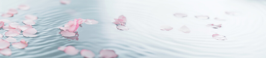 桜の花びらが優雅に漂う癒しの風景