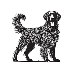 Curly-Coated Retriever Silhouette - Curly-Coated Retriever Dog Vector - Curly-Coated Retriever Dog Illustration.