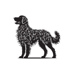 Curly-Coated Retriever Silhouette - Curly-Coated Retriever Dog Vector - Curly-Coated Retriever Dog Illustration.