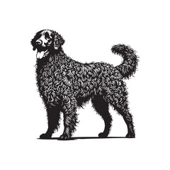 Curly-Coated Retriever Silhouette - Curly-Coated Retriever Dog Vector - Curly-Coated Retriever Dog Illustration.